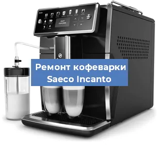 Чистка кофемашины Saeco Incanto от кофейных масел в Нижнем Новгороде